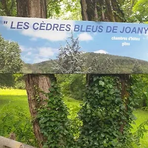 les-cedres-bleus-viviez.midi-pyreneeshotels.com/